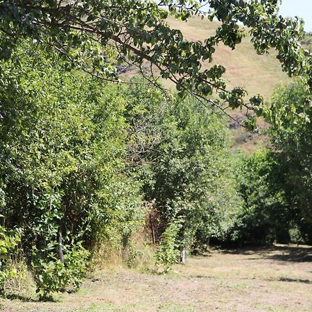 Villa Shamakhyan Dilijan Εξωτερικό φωτογραφία