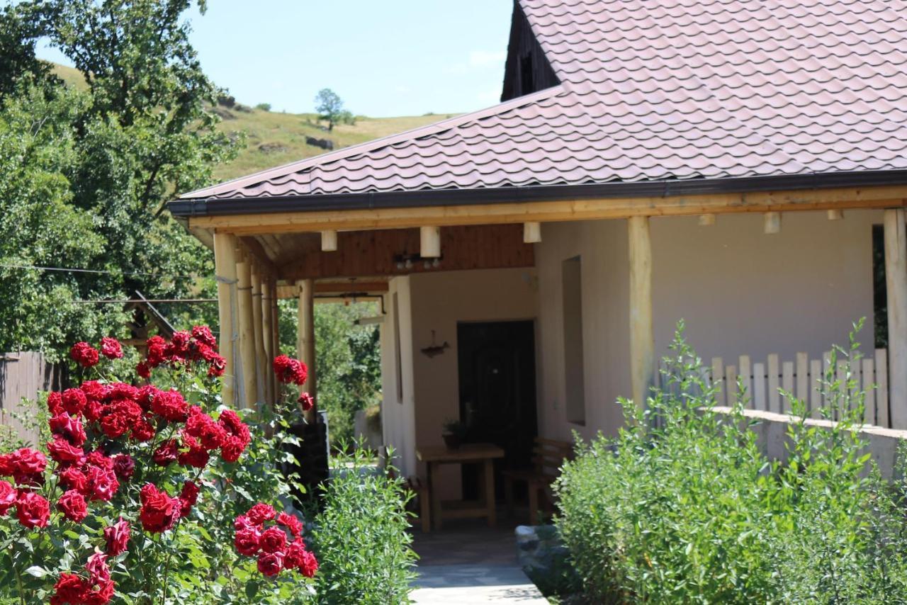 Villa Shamakhyan Dilijan Εξωτερικό φωτογραφία