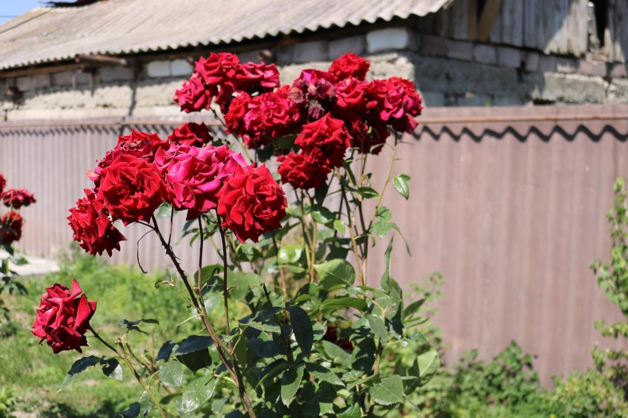 Villa Shamakhyan Dilijan Εξωτερικό φωτογραφία