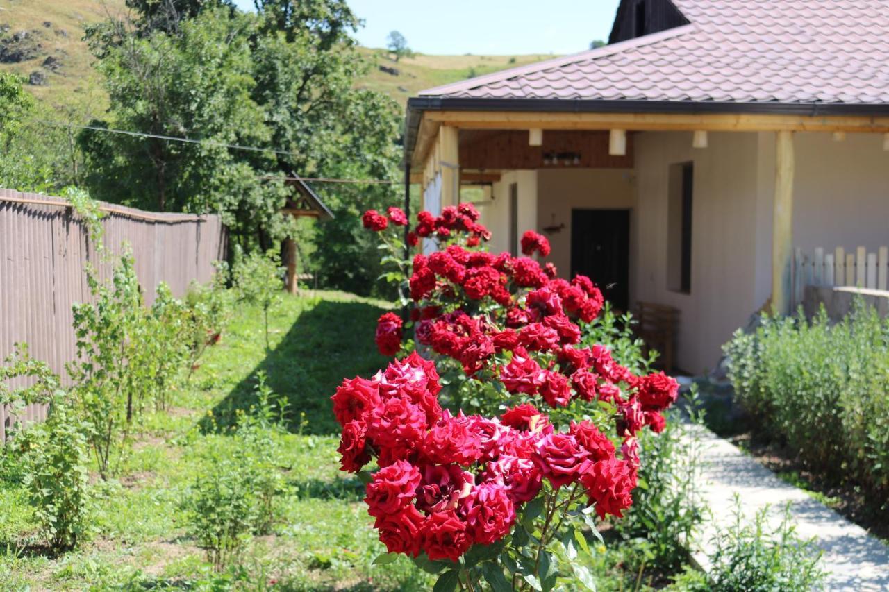 Villa Shamakhyan Dilijan Εξωτερικό φωτογραφία