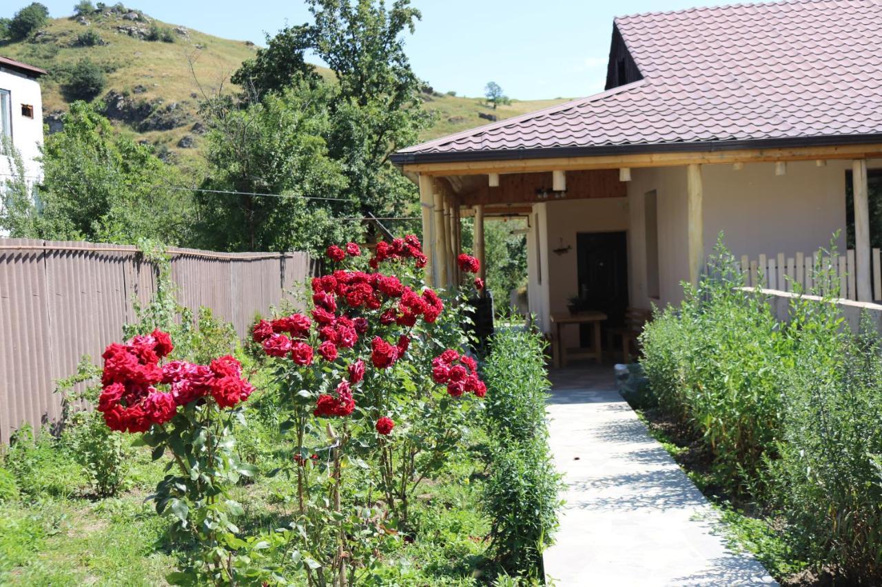 Villa Shamakhyan Dilijan Εξωτερικό φωτογραφία